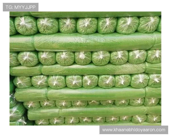 欧博app最新版本与旧版本的区别，升级后带来的新变化详解